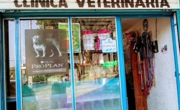 Veterinaria Arca de Noé