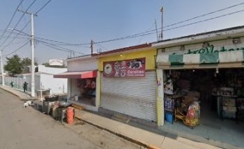 Centro Veterinario
