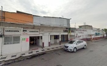 iguanas ranas