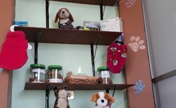 Veterinaria