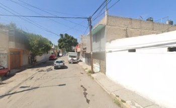 Estetica canina
