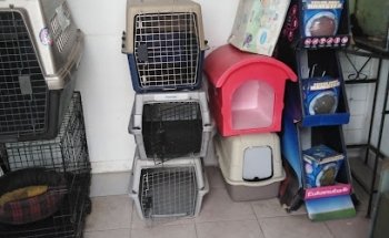 Clínica Veterinaria GODWIND