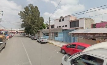 Estética Canina España