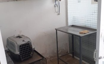 Veterinaria Pacheco