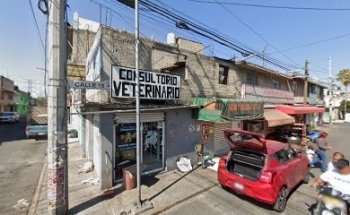 Veterinaria