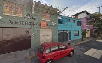 Cebra Veterinaria
