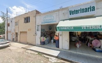 Veterinaria Parrita