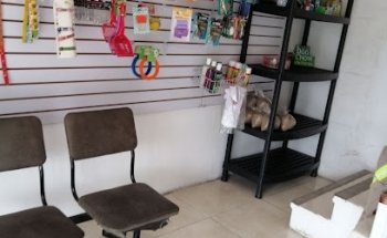 Veterinaria Figo