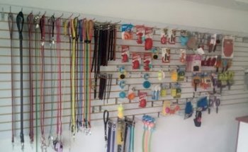 Clinica Veterinaria