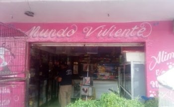 mundo viviente