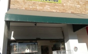 Kat Dog veterinario