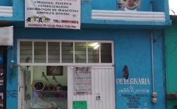 La patita de Pichi