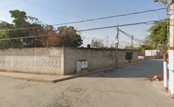 Veterinaria