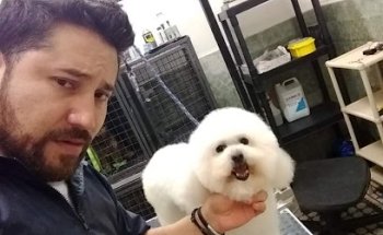 Peludos Barber Dog