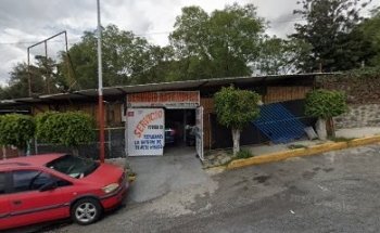 veterinaria
