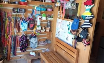 Consultorio Veterinario