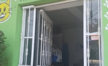 Trypanozoma cruz