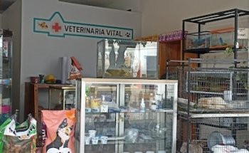 VETERINARIA VITAL