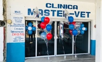 Master-vet
