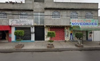 Los gatitos de Luna