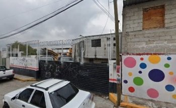 Venta de Gelipet en Pet Shop