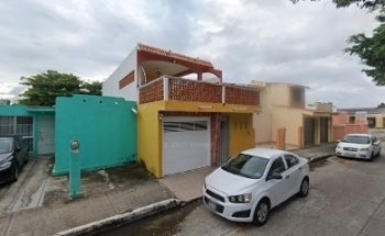Servicio veterinario