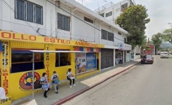 Estética Canina