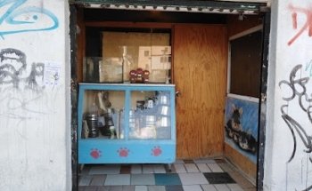 ANIMAL S HOUSE