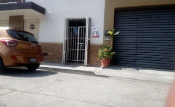 Veterinario
