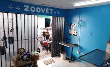 consultorio veterinario