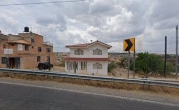 Médico veterinario