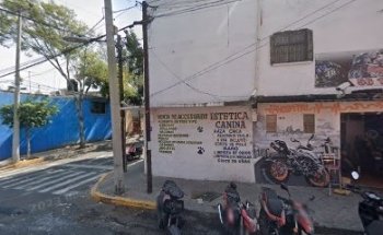 VETERINARIO