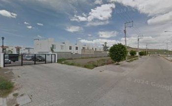 Dilu veterinaria