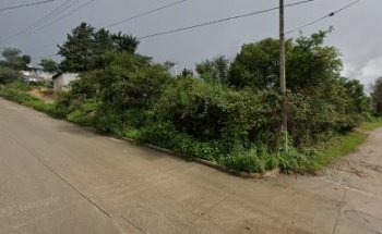 AgroVeterinaria “Salud Animal”