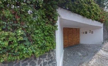 Venta de Gelipet en Veterinaria Integral Hernandez