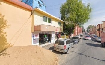 Dan Kan Estética Canina