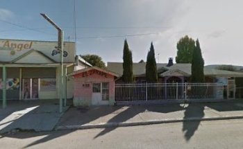 Arión Servicios Veterinarios