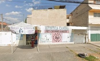 Estética Canina D' Pelos