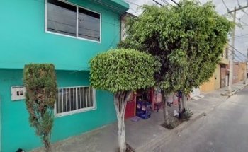 patita de perro