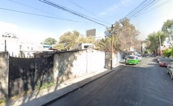 Estéticas canina RABITO