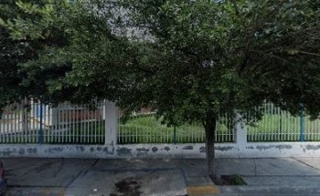 Servicio Automotriz Veterinario