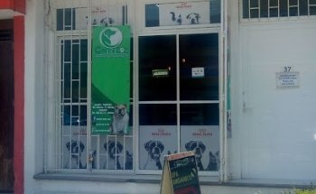 Green Dog Spa