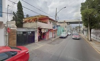 Estetica canina patita de perro