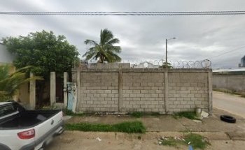 Clinica Veterinaria KAMS