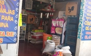Servicios Veterinarios