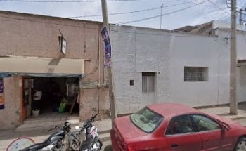 veterinaria