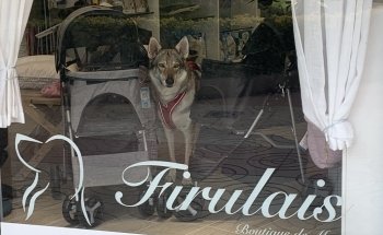 Firulais