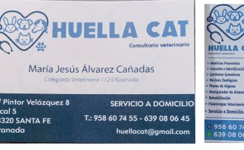 Huella Cat Consultorio Veterinario