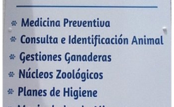 Huella Cat Consultorio Veterinario