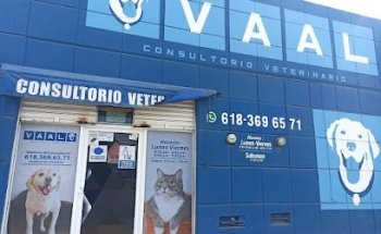 VAAL Consultorio Veterinario